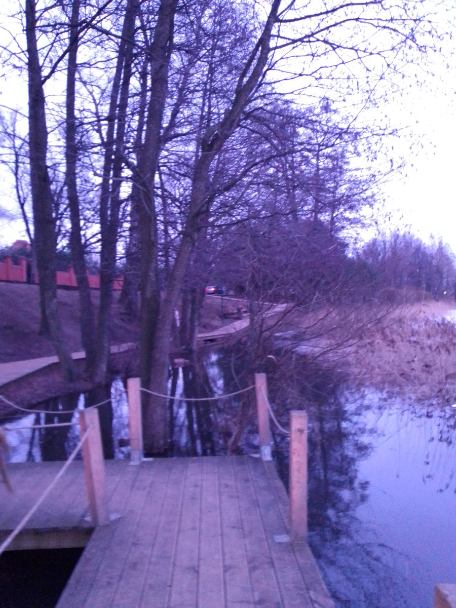 Даже стволы деревьев под водой 