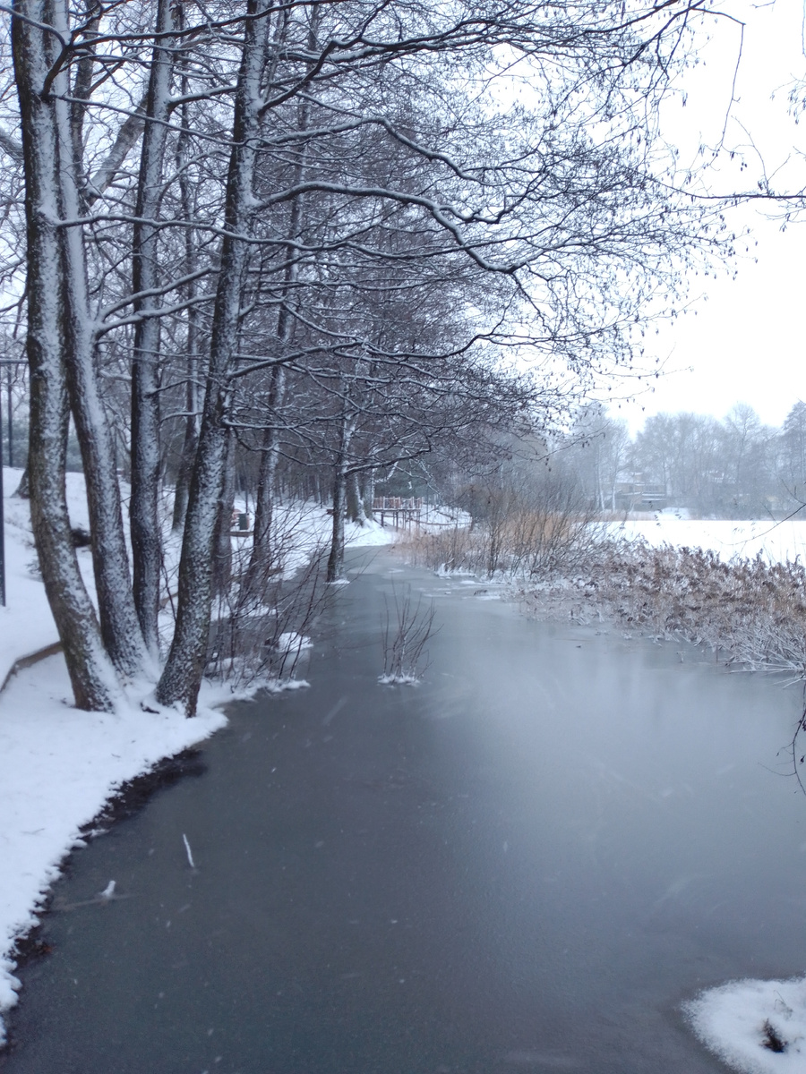 Вот так поднялся уровень воды в Нижнем Суздальсоком озере 