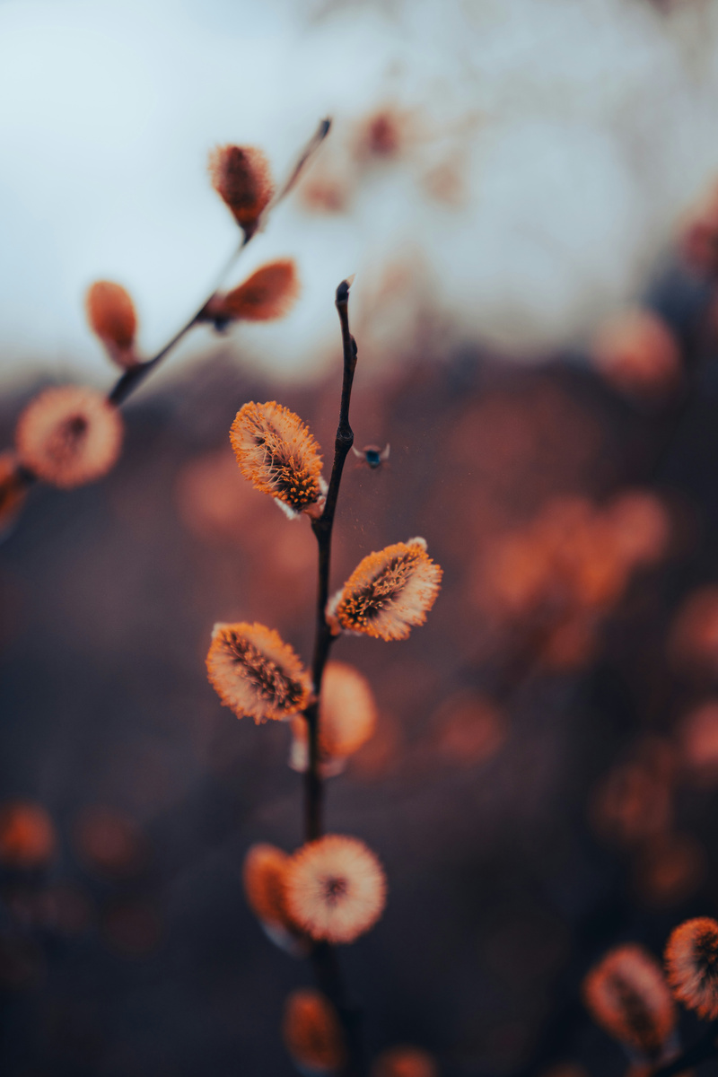 Photo by German Krupenin on Unsplash