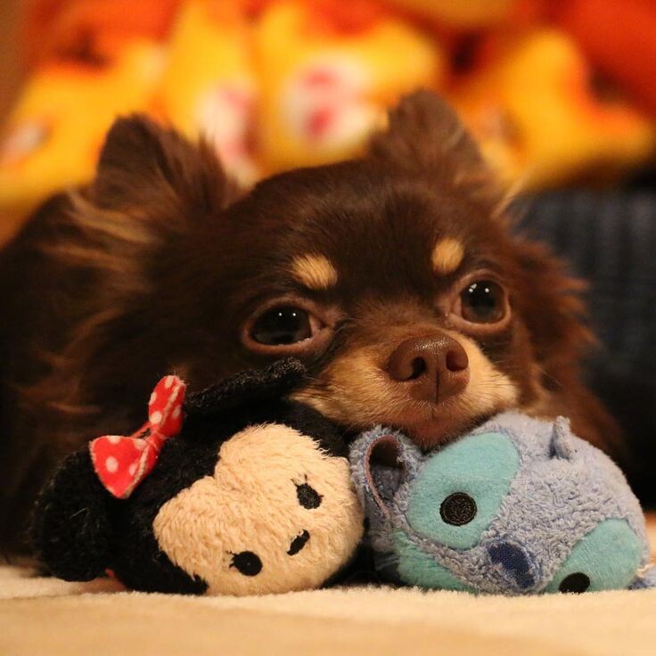 какая милашка!