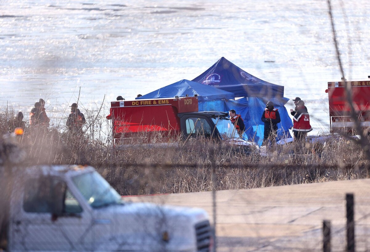     / Источник: © Global Look Press