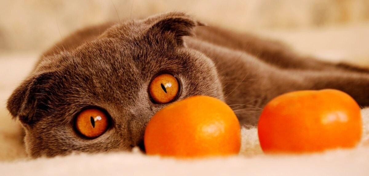 Поиграть можно, чистить не надо