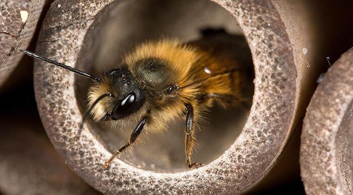 Вы кто такие? Я вас не звал!
