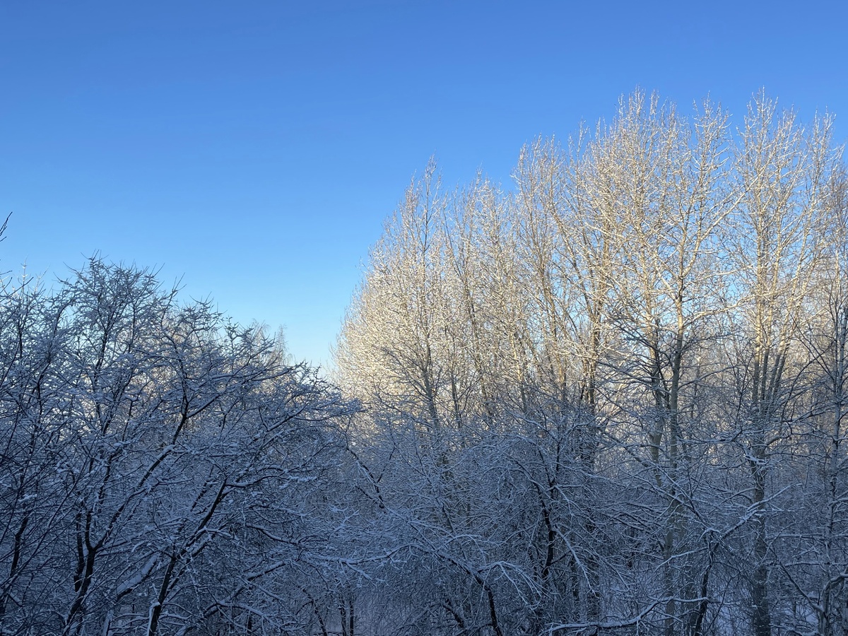 09.01.2023 Листайте вправо, чтобы увидеть больше фотографий