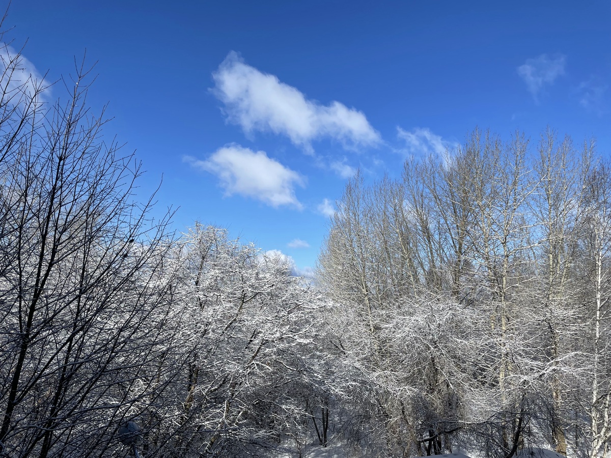 18.03.2023 Листайте вправо, чтобы увидеть больше фотографий