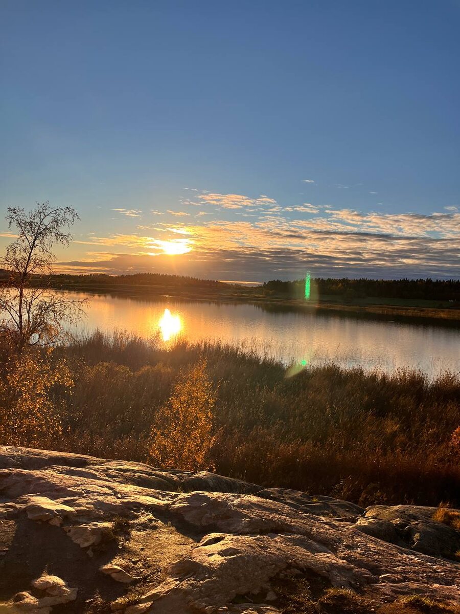 г. Сортавала парк Ваккосалми