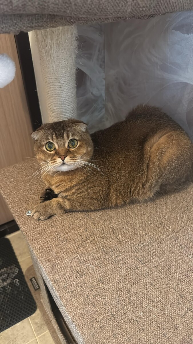 Мэй Ли ( из личного архива)