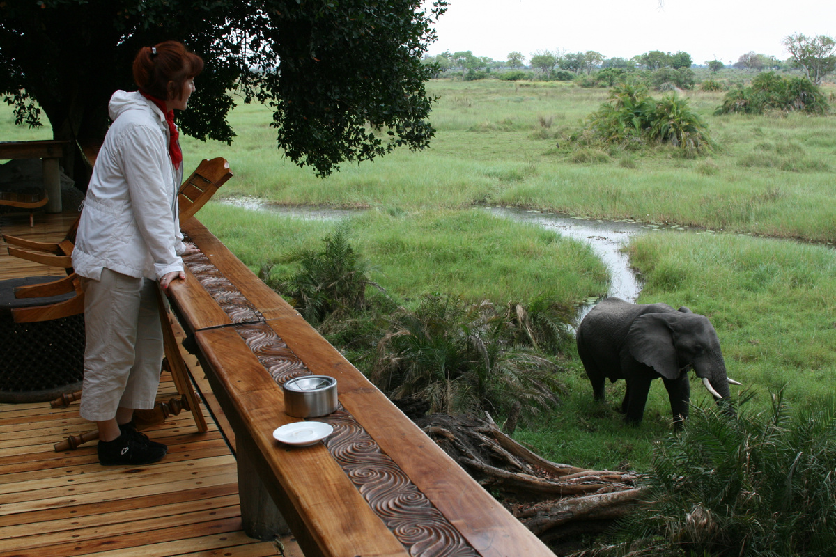 Только собрались на водное сафари, как появился гость. Ботсвана, Джао.