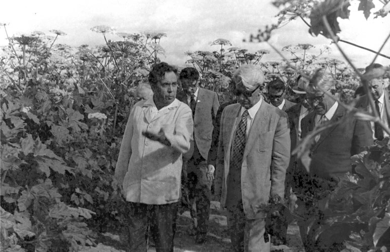 Источник: Яндекс картинки