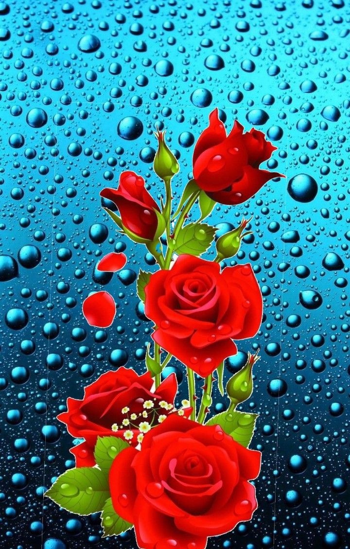 Фото из интернета