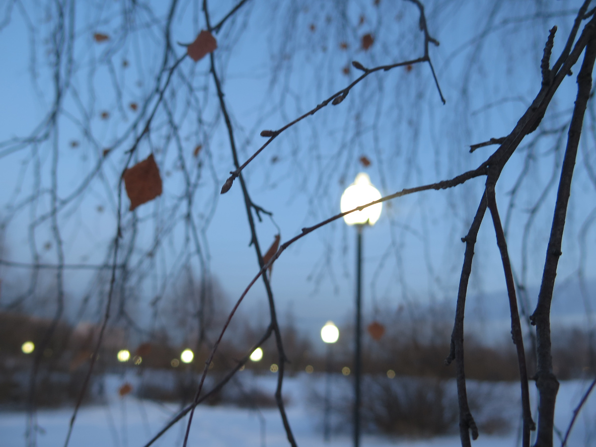 28.2.2024. Фотографии авторские.