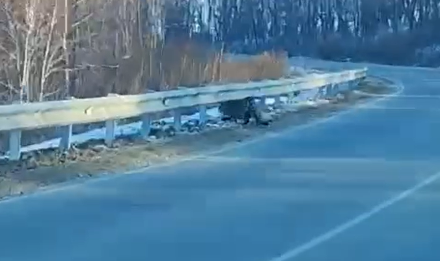    Источник фото: Скрин видео