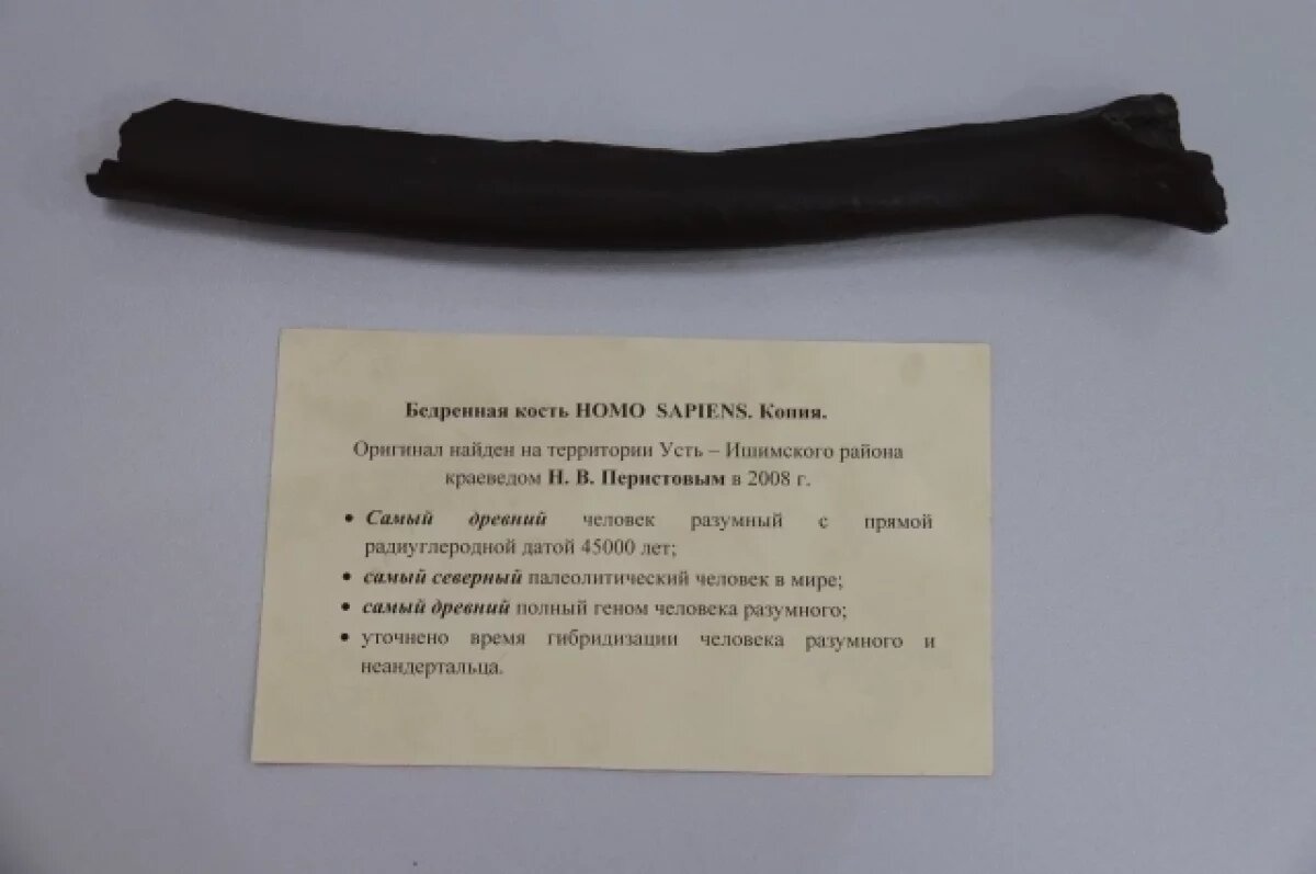    Откуда кости растут?