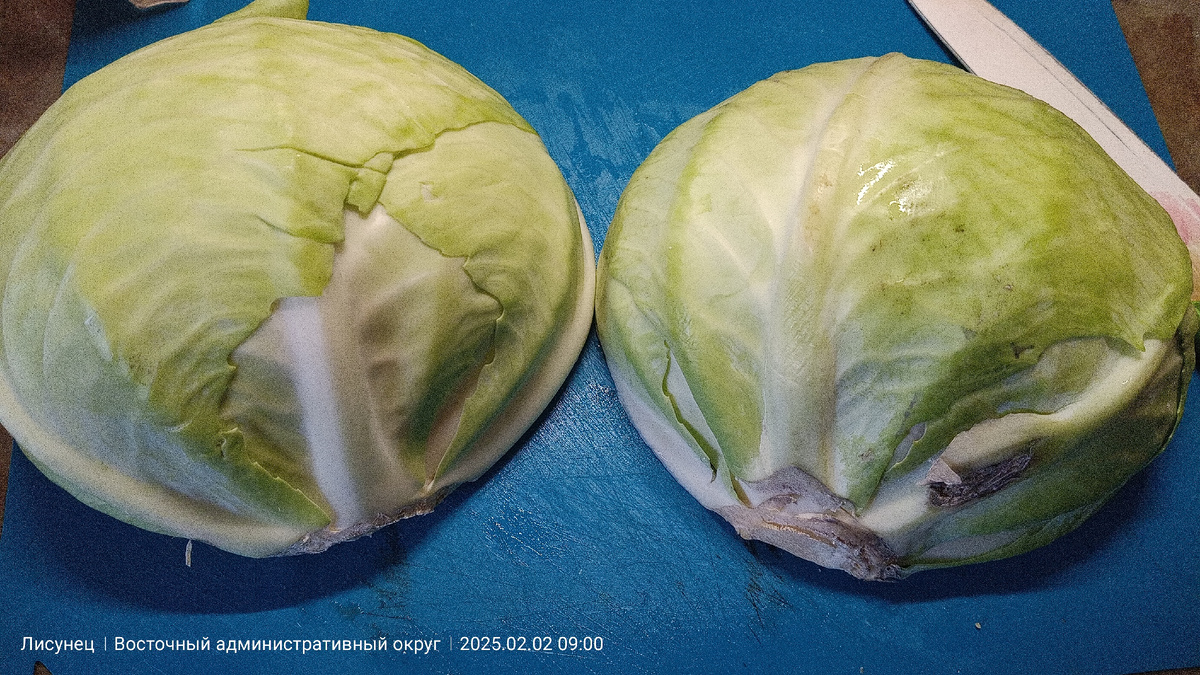 Нужно нашинковать.