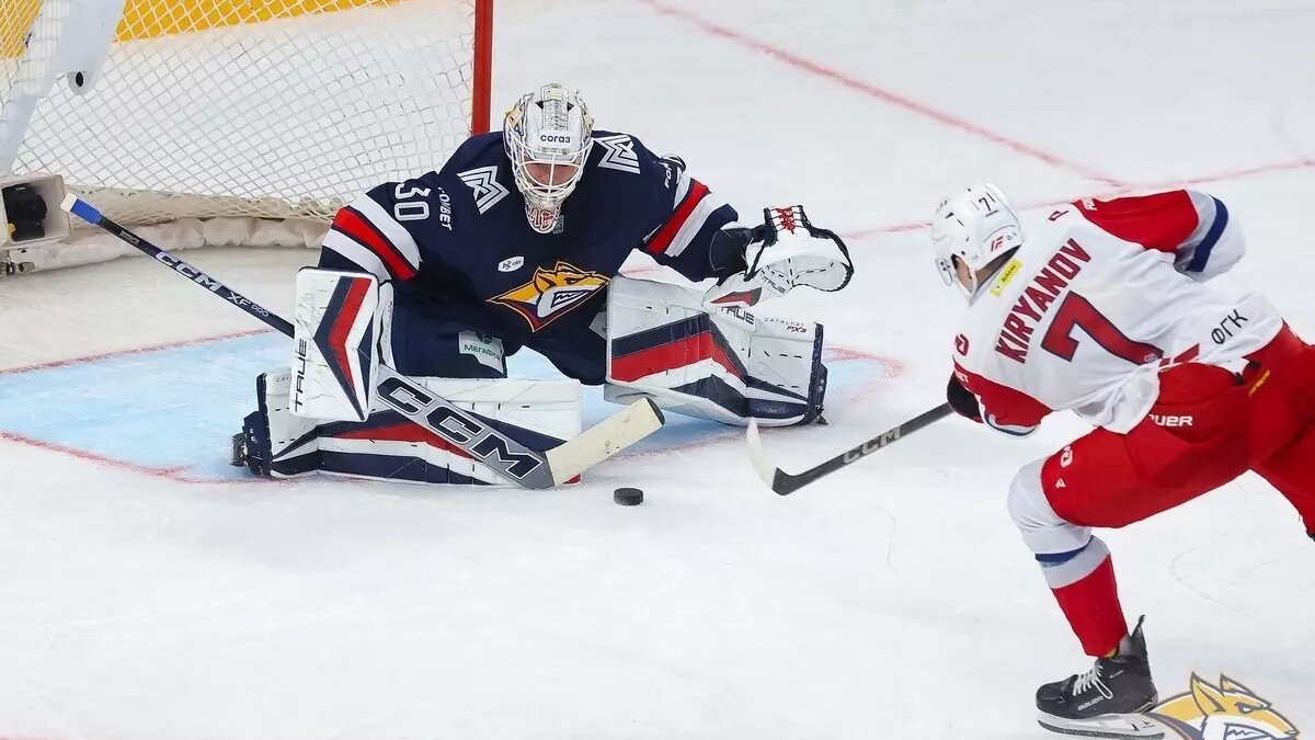     Источник: ХК «Металлург»