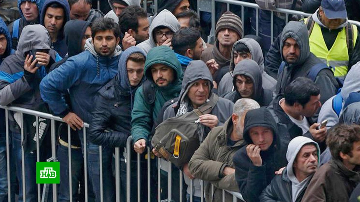    После теракта в Магдебурге немцы потребовали депортации    мигрантов-нелегалов