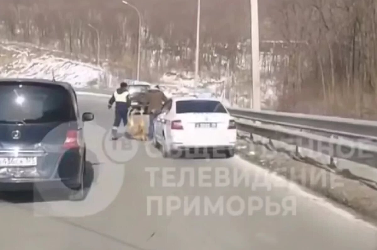    Тушу сбитого животного оперативно убрали с трассы.