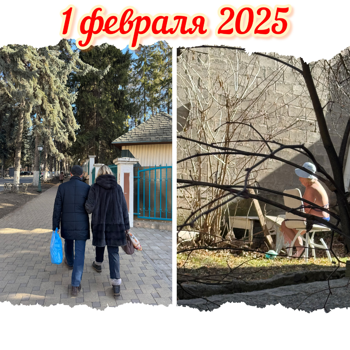 Коллаж мой, ул. Российская, фото Сад в стиле Paradise @