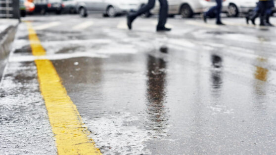    2 февраля в Москве и области ожидаются снегопад, облачная погода и температура около нуля Андрей Галкин