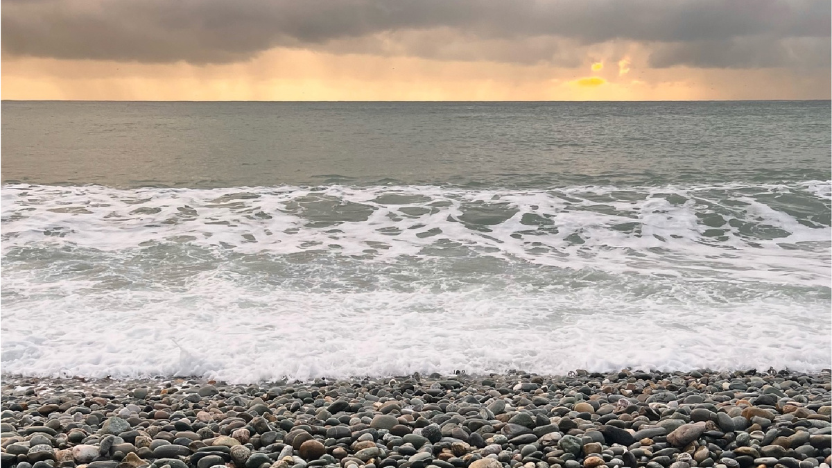 Фото: Екатерина Горшкова