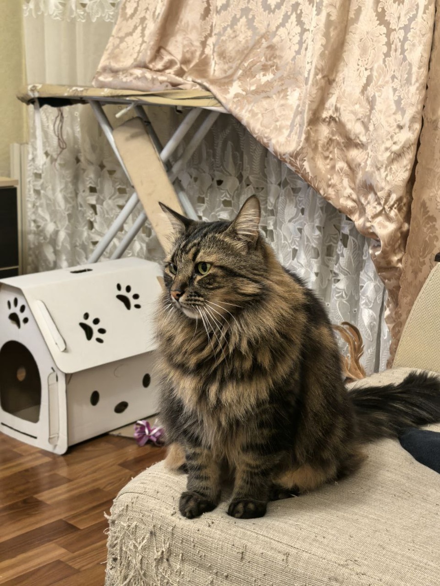 Это я не помню почему смотрел не в телевизор, а в другую сторону.