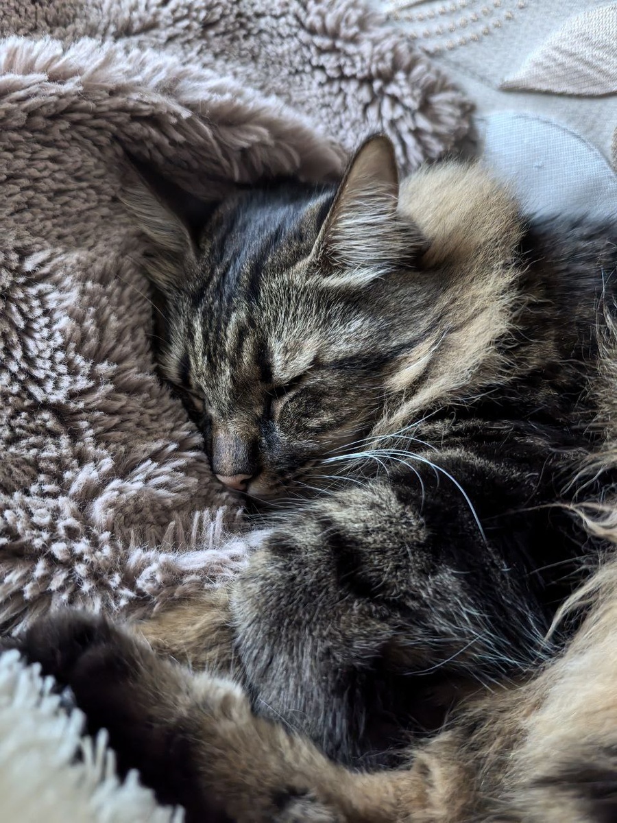 Фото просто чтобы было