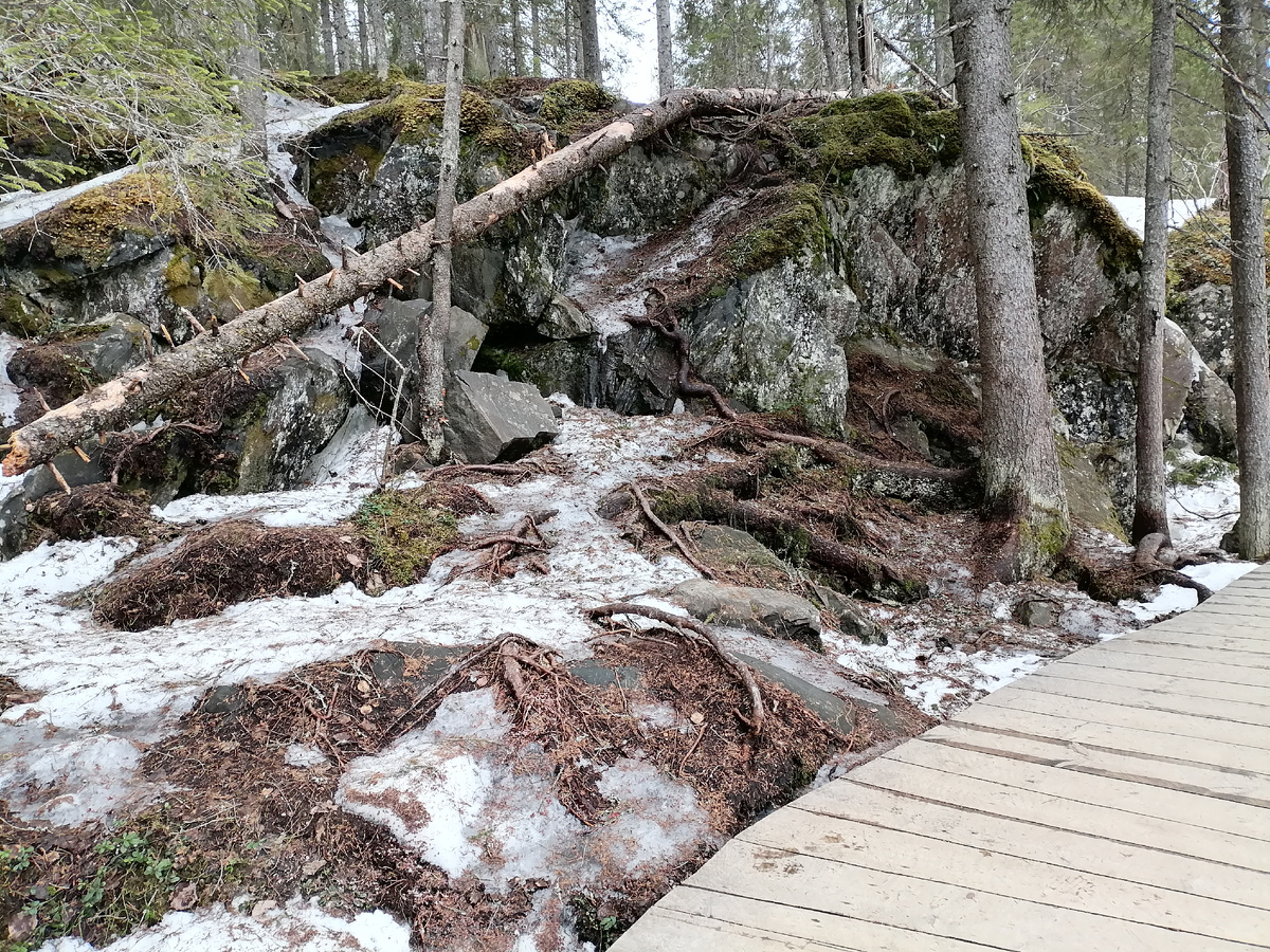 Фото автора.