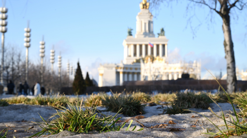    Фото: © РИА Новости/Владимир Астапкович