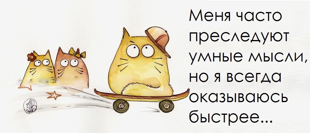 весёоая картинка с котиками из сети :)