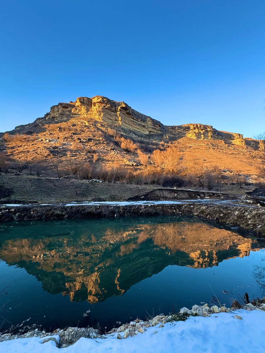 фото Сад в стиле Paradise @