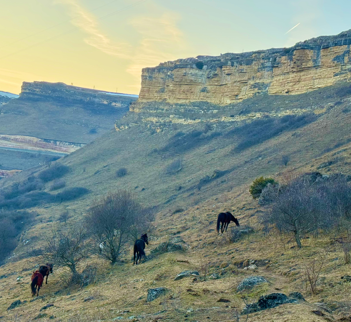 фото Сад в стиле Paradise @