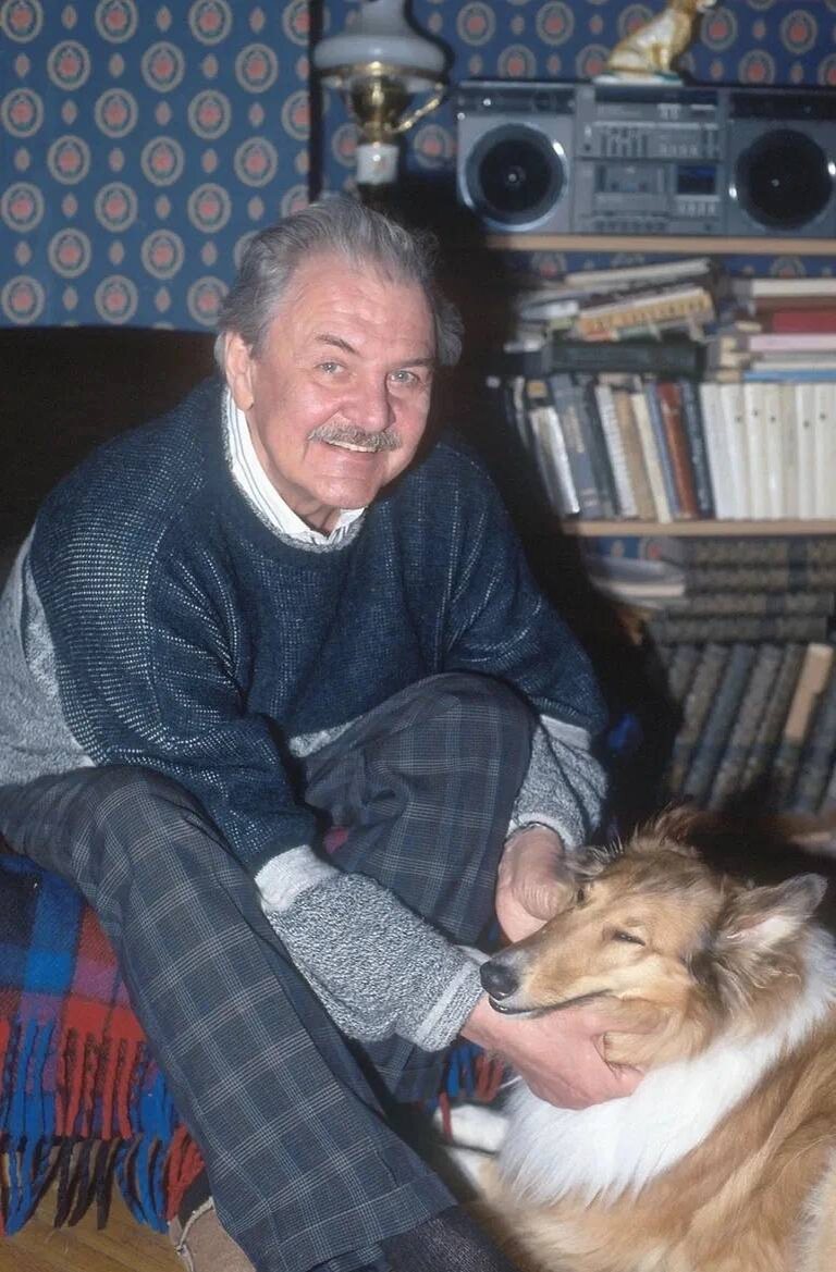 Фото в открытом доступе