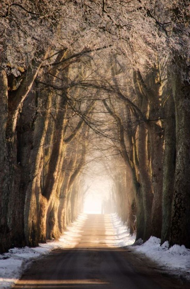 Фото из Pinterest