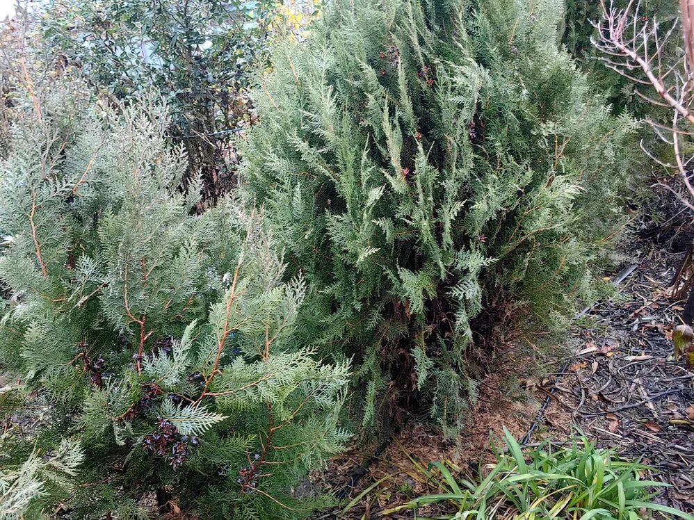 Фото Натальи Мироновой