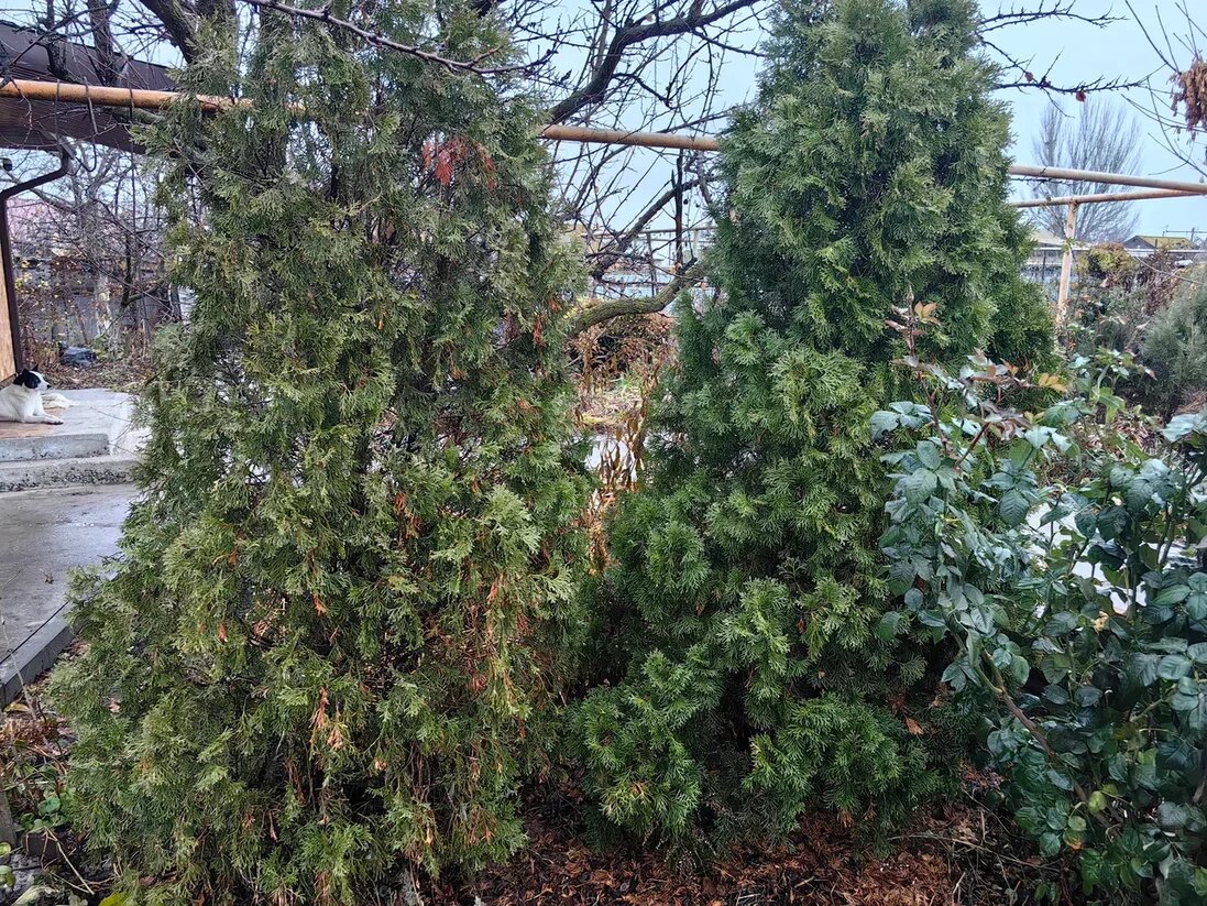 Фото Натальи Мироновой