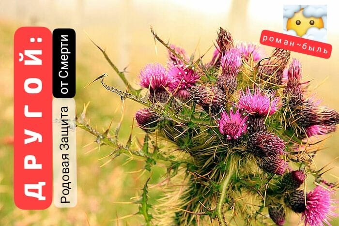 Роман - быль (1 часть) Аяр Ай "ДРУГОЙ"