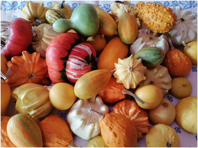 Декоративная смесь.Личное фото автора.