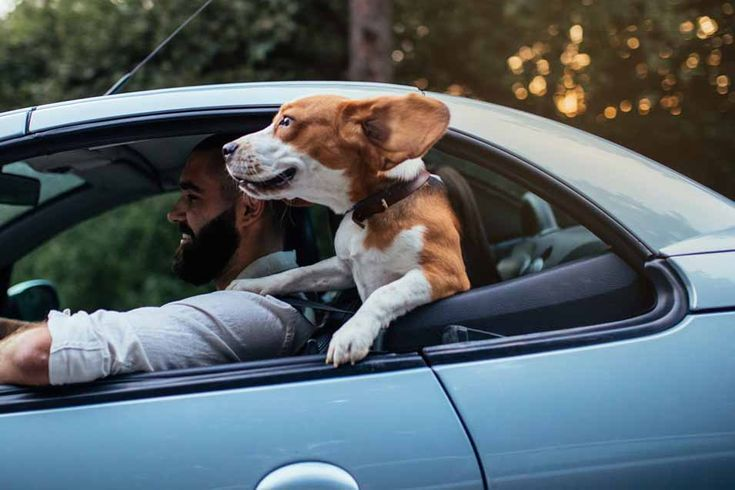 И кондиционера не надо!