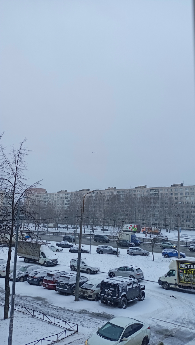 Фото автора. 10,30. Спб.