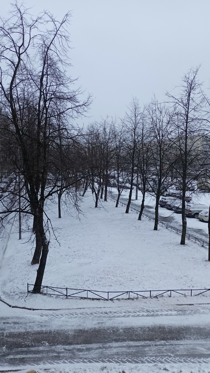 Фото автора. 10,30. Спб.