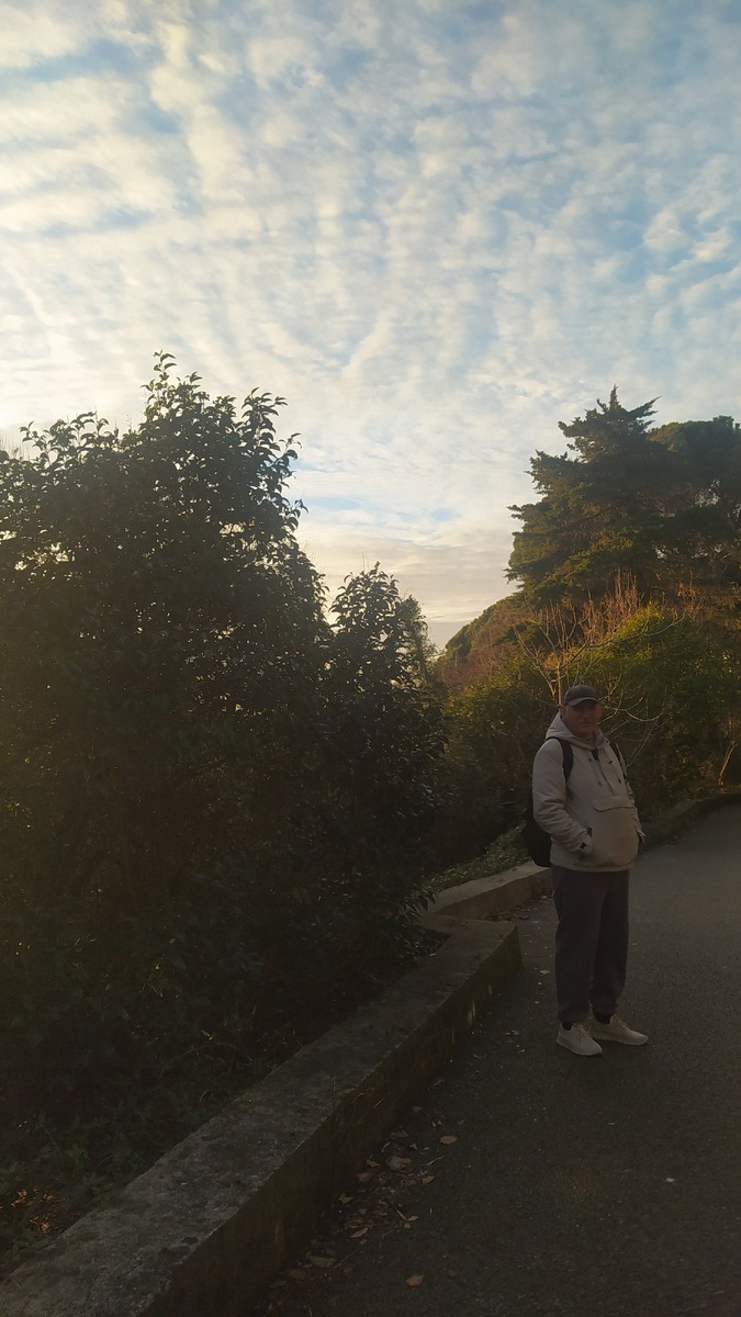 Сочи январь 2025