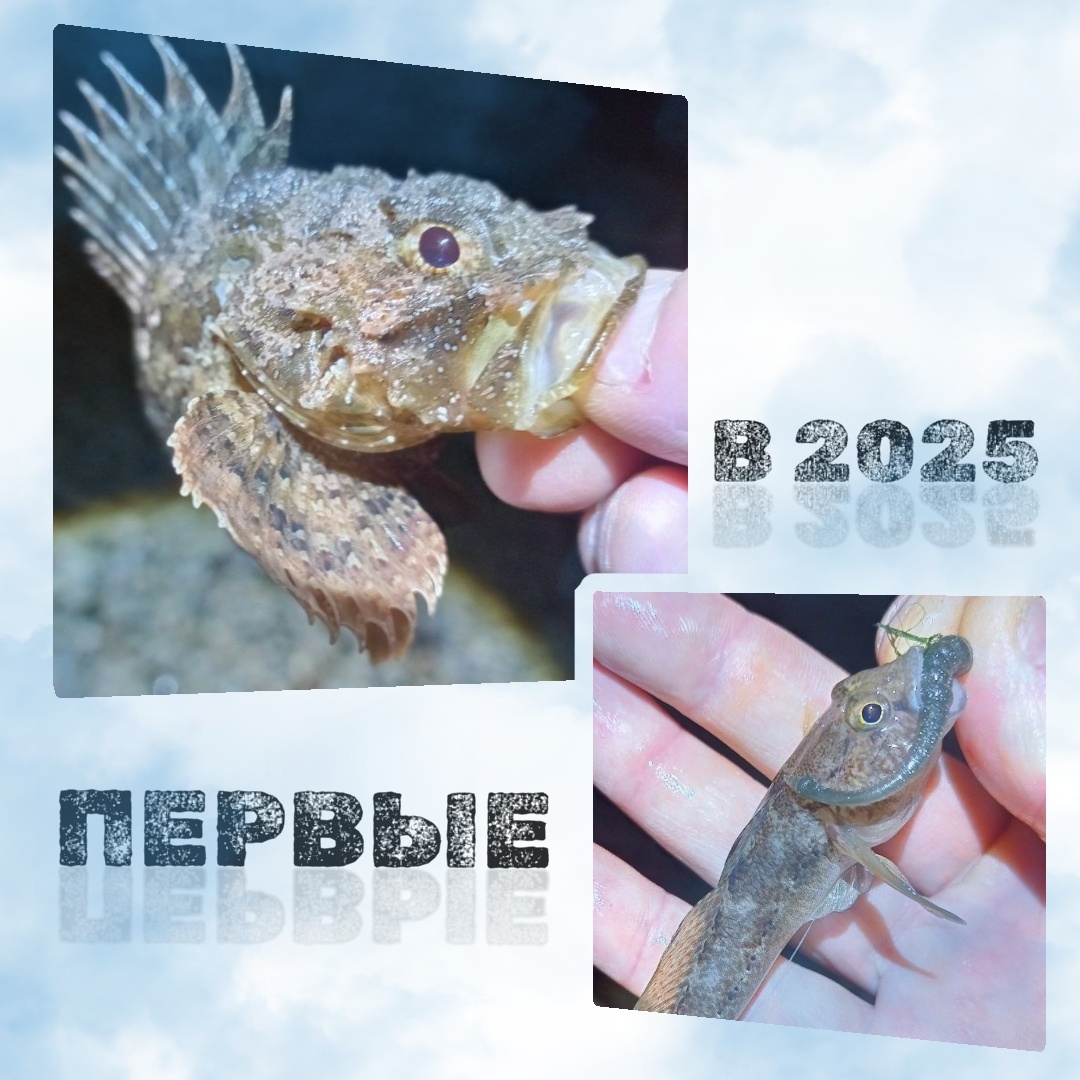 Первый мой улов в 2025 году