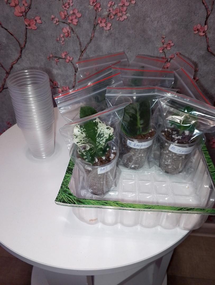 Получается вот так