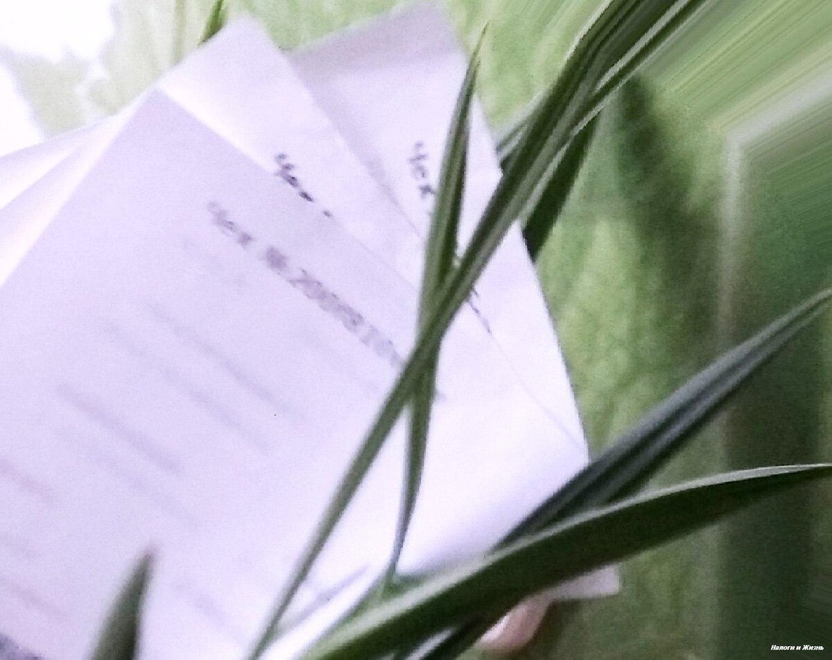 3 причины излишне уплаченного налога на профессиональный доход. Как вернуть переплату.