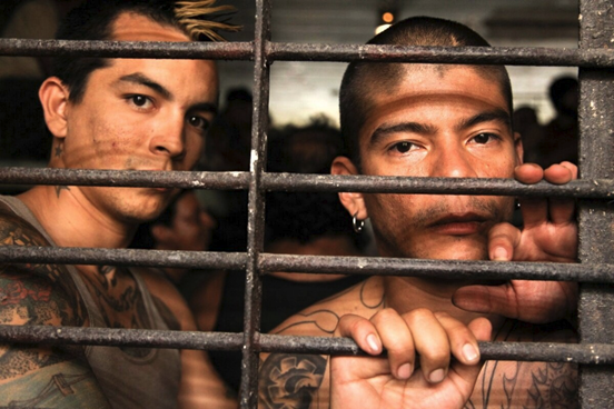 "Веселые каникулы", 2011, США