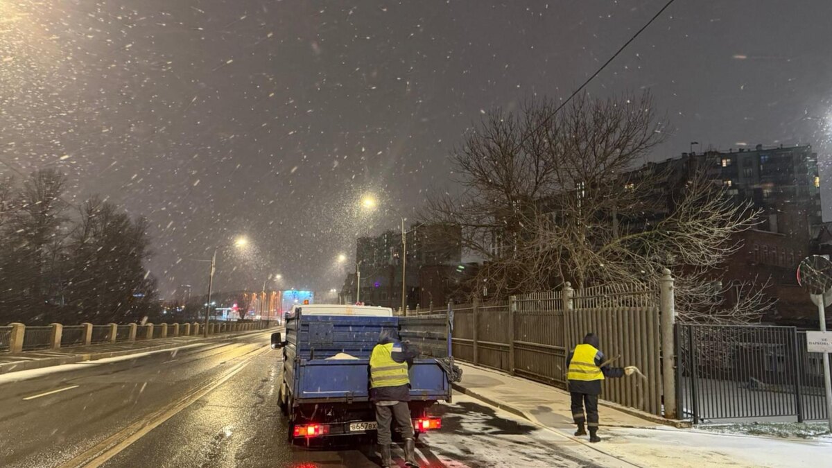    Фото: Комитет по Благоустройству Санкт-Петербурга