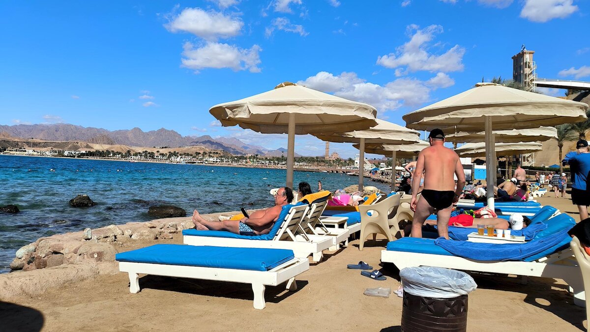 Фото: Maksim Konstantinov/globallookpress.com