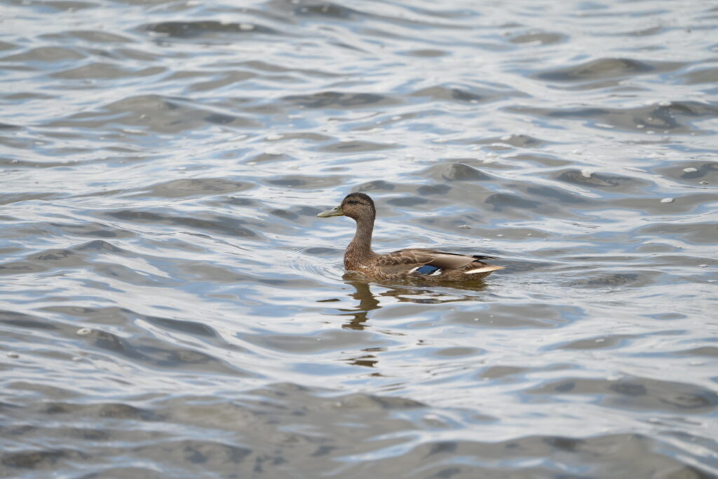    Фото: В курсе. ру Ольга Гилёва