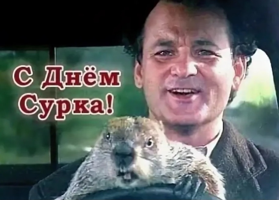2 февраля  - День Сурка🦫