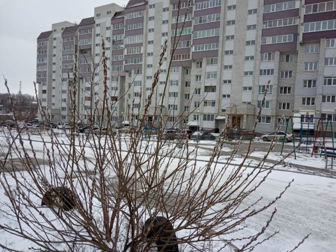 Картинка из интернета